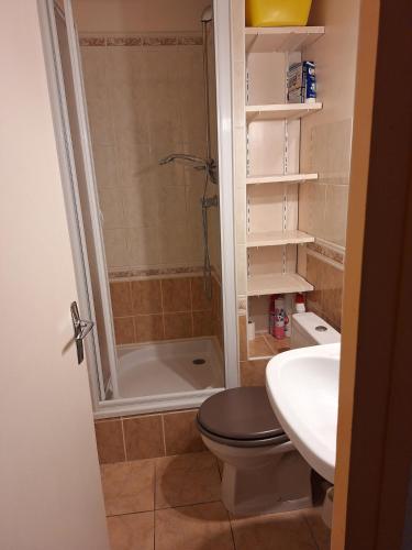 une salle de bain avec une douche, des toilettes et un lavabo dans l'établissement Imm Pelvoux 1 Studio familial pied des pistes, à Vars