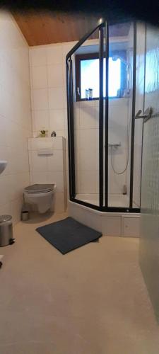 a bathroom with a shower and a toilet at Ferien- und Business Wohnung in Mönsheim