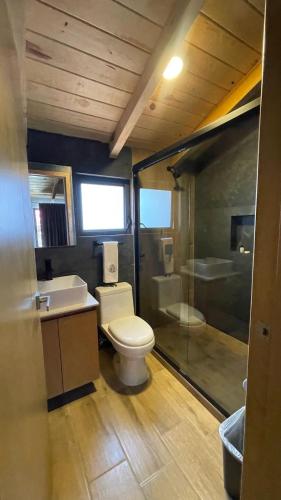 a bathroom with a toilet and a sink and a shower at Hotel Cabañas de los Angeles in Tequila