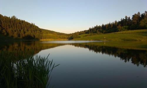 a view of a lake with trees in the background at Privat Julia in Vrbov