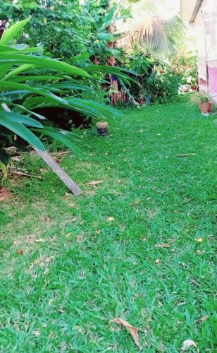 Jardí fora de Écrin de Jasmin