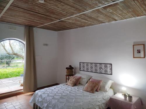 Fotografie z fotogalerie ubytování Agrì Ospitalità & Convivialità v destinaci San Bartolomeo