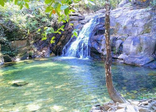 a waterfall in a pool of water next to a tree at Recanto do Sossego em Piri in Pirenópolis