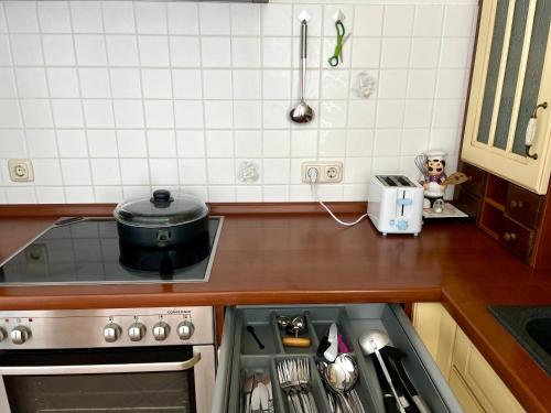 una cucina con fornelli e lavello di New Living Home a Boizenburg