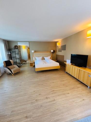a large room with a bed and a television at L-DOM in Metzingen
