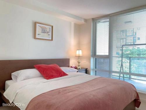 ein Schlafzimmer mit großem Bett und Fenster in der Unterkunft Cozy Perfect &elegant 2bed 1 bath in Richmond center in Richmond