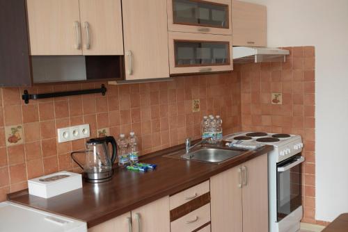 Dapur atau dapur kecil di Apartmán Bodenbach