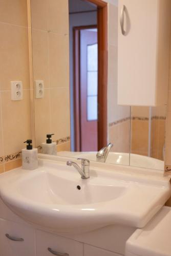 Bilik mandi di Apartmán Bodenbach