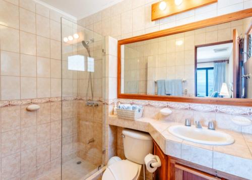 a bathroom with a toilet and a sink and a shower at Bahia Pez Vela Resort in Ocotal