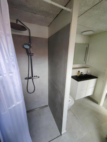 a bathroom with a shower with a shower curtain at JP Apartment Floor 2 in Grindsted