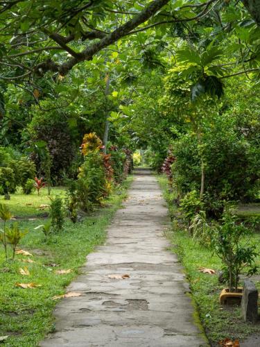 a stone path in a park with a tree overhead at Tent 1 in Ndalomo