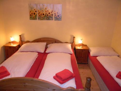 2 Einzelbetten in einem Zimmer mit 2 Lampen in der Unterkunft Ferienhaus Leitner in Flachau