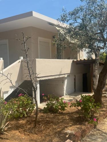 a white house with a tree in front of it at Guest house Elina in Kalívia Thorikoú