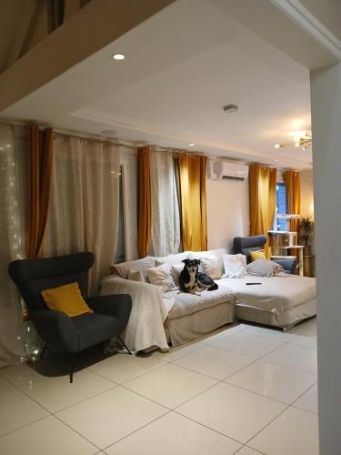 - un chien assis sur un canapé dans le salon dans l'établissement Maison familiale en Normandie, à Breteuil-sur-Iton