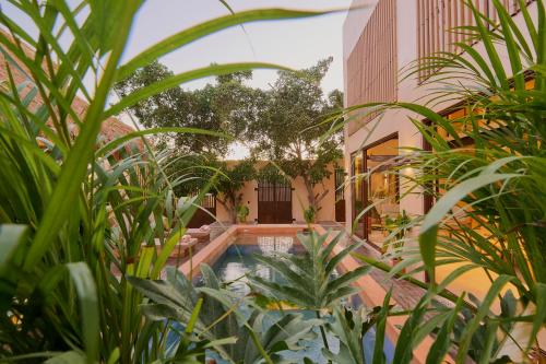 a courtyard with a swimming pool in a building with plants at Casa Cambria in Puerto Escondido