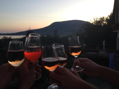 a group of people holding up glasses of wine at Sipos Borház és Vendégház in Badacsonyörs