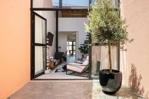 a living room with a potted tree in a vase at FILETE, Design house in Peniche's old town in Peniche