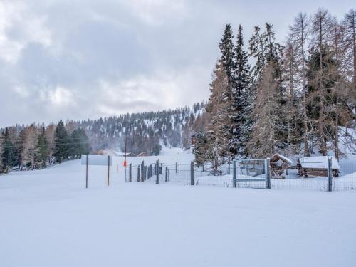 a snow covered field with a fence and trees at Deluxe Zirberl Top 6 in Weisspriach