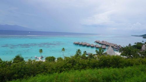 a group of umbrellas on a beach in the ocean at MOOREA - Bungalow Ute Ute in Haapiti
