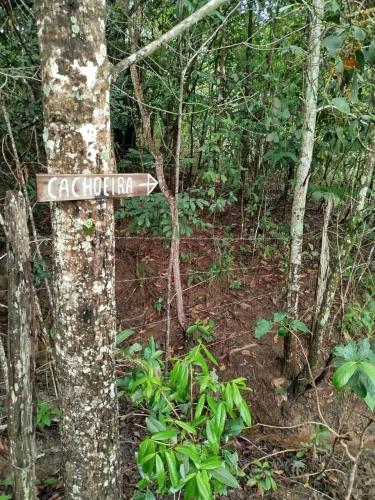 a sign on a tree in a forest at Chalé do Ypê in Pirenópolis
