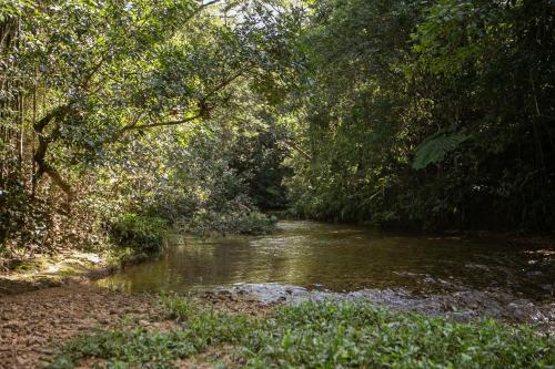 a river in a wooded area with trees and water at Pousada e Chalés Passaredo Canastra in São Roque de Minas