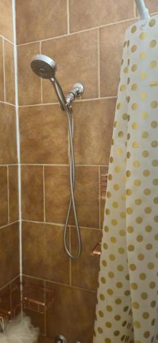 a shower head in a bathroom with a shower curtain at Cozy Modern Stay! in Brampton