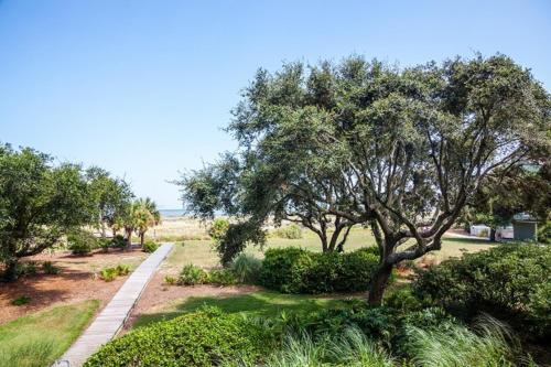 a walkway through a park with trees and bushes at Shipwatch 104A by Wild Dunes, Oceanfront Condo in Isle of Palms