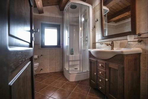 a bathroom with a sink and a shower at Agriturismo Miracco Atanasio Franco "Il Maniero" in Santa Sofia dʼEpiro