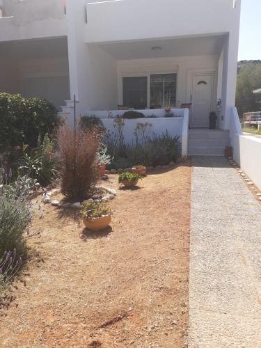 Gallery image of Katerina summerhouse in Dhaskalión