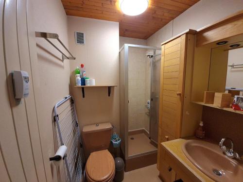 une salle de bain avec toilettes, lavabo et douche dans l'établissement T2 centre village La Clusaz, balcon - FR-1-459-242, à La Clusaz