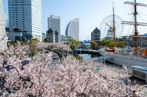 rot横浜浅間町4丁目206