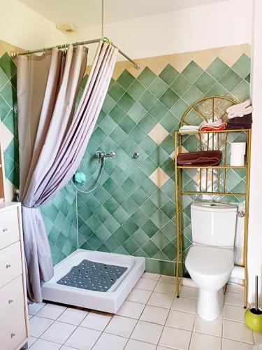 une salle de bain avec une douche avec des toilettes et un lavabo dans l'établissement Le gite proc, à Repenti