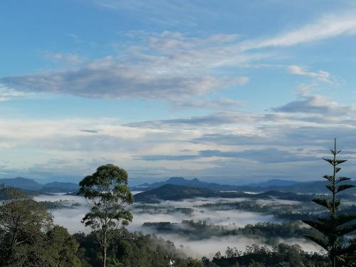 a view of a foggy valley with a tree at The Jungle Life Homestay Thangamalay Sanctuary Haputale by Gisela Sivam in Haputale