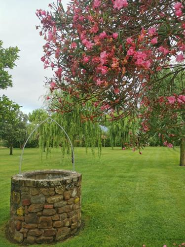 a tree with a water fountain in a park at Agriturismo Bocci in Castiglione della Pescaia