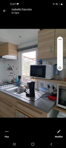 une cuisine avec un évier et un micro-ondes dans l'établissement Mobil-home emplacement 1, à Le Chesne