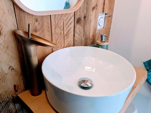 a bathroom with a white sink and a mirror at Fraakland in Neauphe-sous-Essai