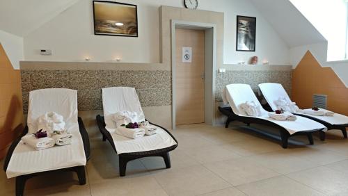 Lázně a/nebo wellness v ubytování Wellness Penzion Kroměříž - Zlobice