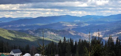 a view of a mountain with trees and mountains at Маріна Драгобрат in Dragobrat