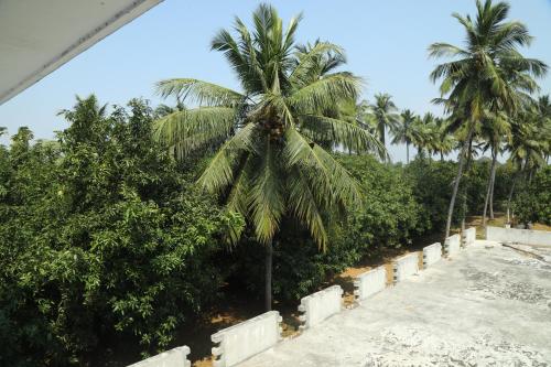 Gallery image of Thiruvallur Farm House in Periyapālaiyam