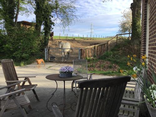 a patio with a table and a horse in a field at Countryhouse Zuid-Limburg in Nuth