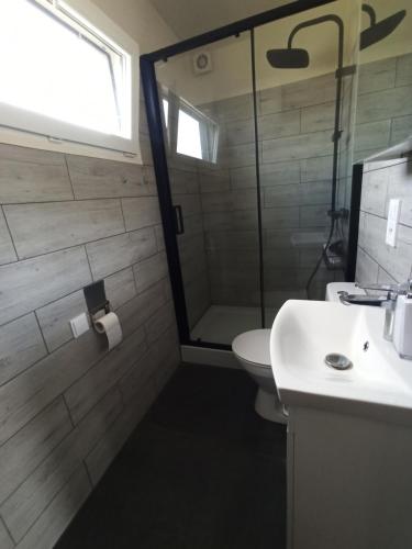 a bathroom with a shower and a toilet and a sink at Chabrowa Polana in Tuplice