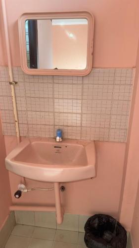 a bathroom with a pink sink and a mirror at Mysuru-hotel in Mysore