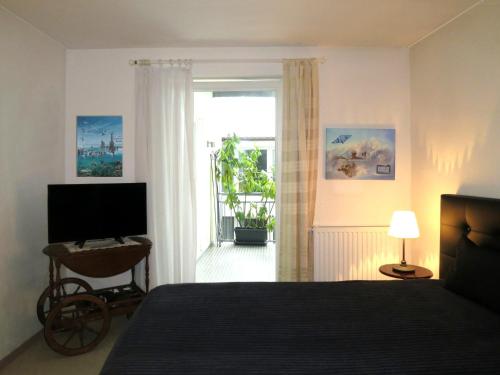 a bedroom with a bed and a television and a window at Atelier Probst- Salmannsweilergasse in Konstanz