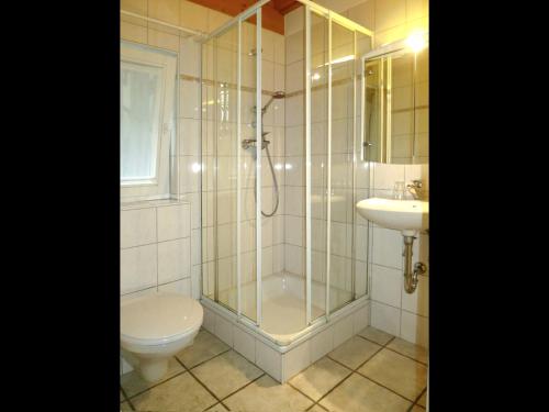a bathroom with a shower and a toilet and a sink at Atelier Probst- Salmannsweilergasse in Konstanz