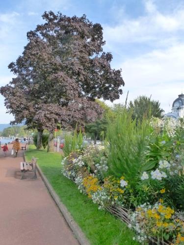 Κήπος έξω από το Bright modern apartment with lake view in Evian