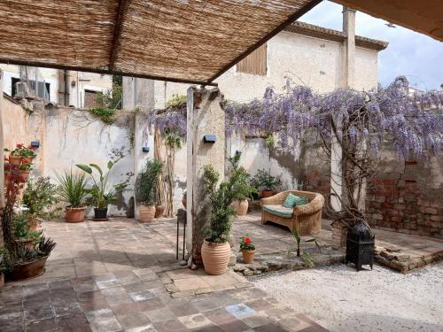 - une terrasse avec un bouquet de plantes et de glycines pourpres dans l'établissement Apartamento Luz, à Órgiva
