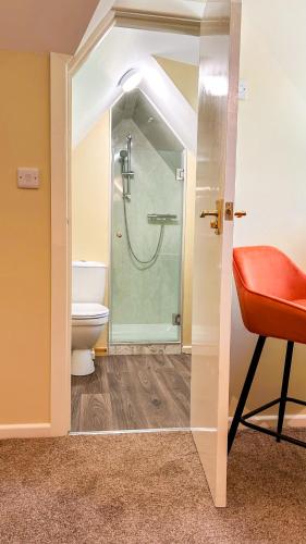 a bathroom with a shower and a toilet at Bettws Hall Accommodation in Newtown