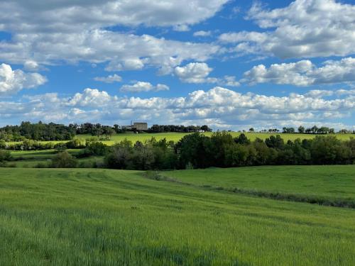 a green field with trees and a cloudy sky at Sant Grau ii in Navés