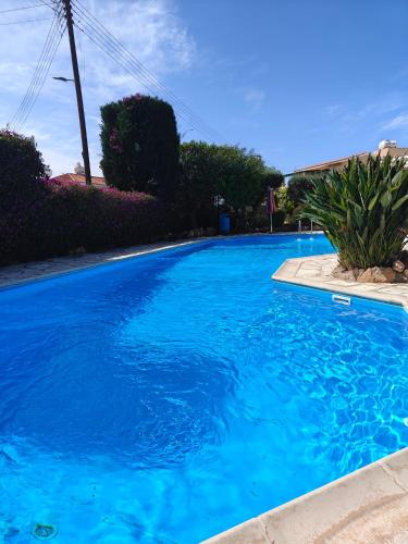 Eva Gardens corner house with stunning garden and huge swimming pool next to CORAL BAY