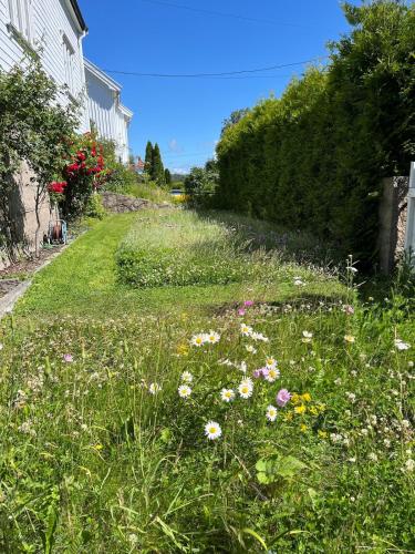 Κήπος έξω από το Cozy, new apartment on Kråkerøy